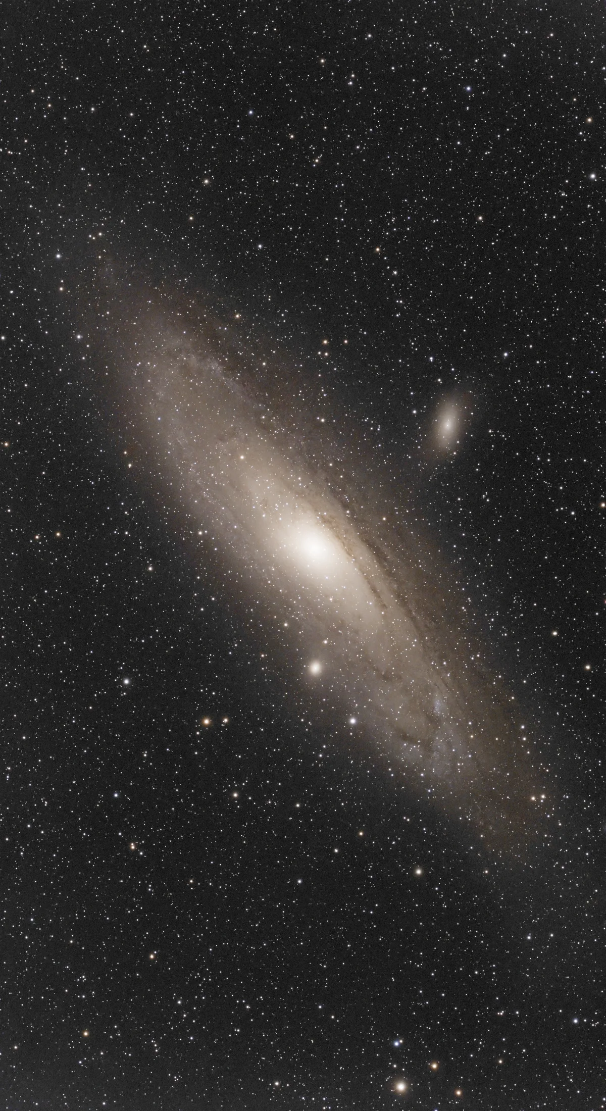 M 31
